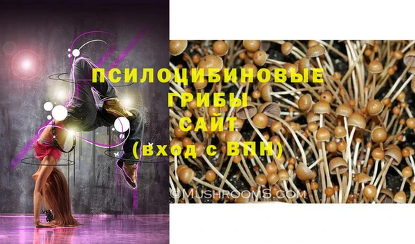дмт Богородицк