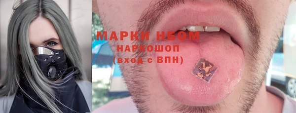 дмт Богородицк
