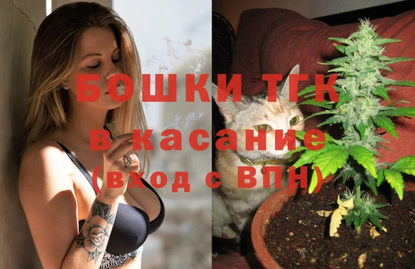 стаф Белокуриха