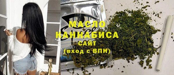 дмт Богородицк